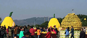 榴莲视频WWW在线观看榴莲视频APP色版音響設備注入梁平采柚節開幕式
