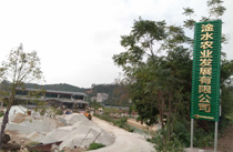 茂名展示廳音響工程案例-【榴莲视频WWW在线观看】