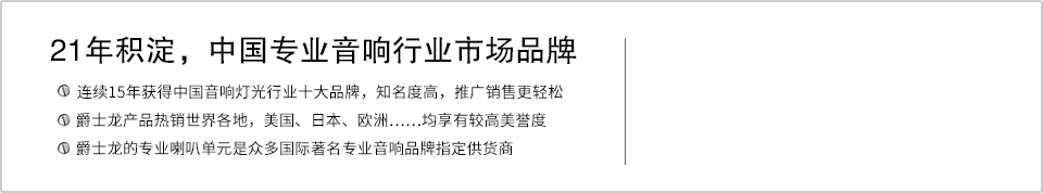 21年積澱，中國專業音響行業市場品牌